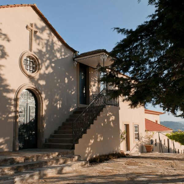 Quinta do Seixo Harvest
